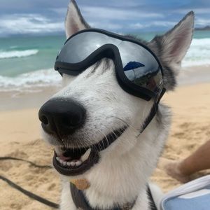 Meet your Posher, Caroline